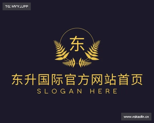 认识东升国际在线登录入口